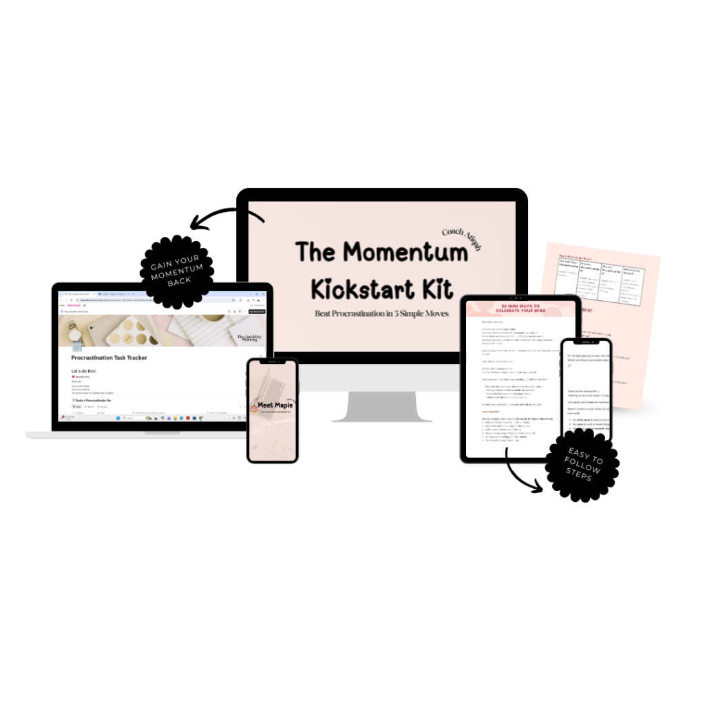 The Momentum Kickstart Kit - The Quiddity Alchemy
