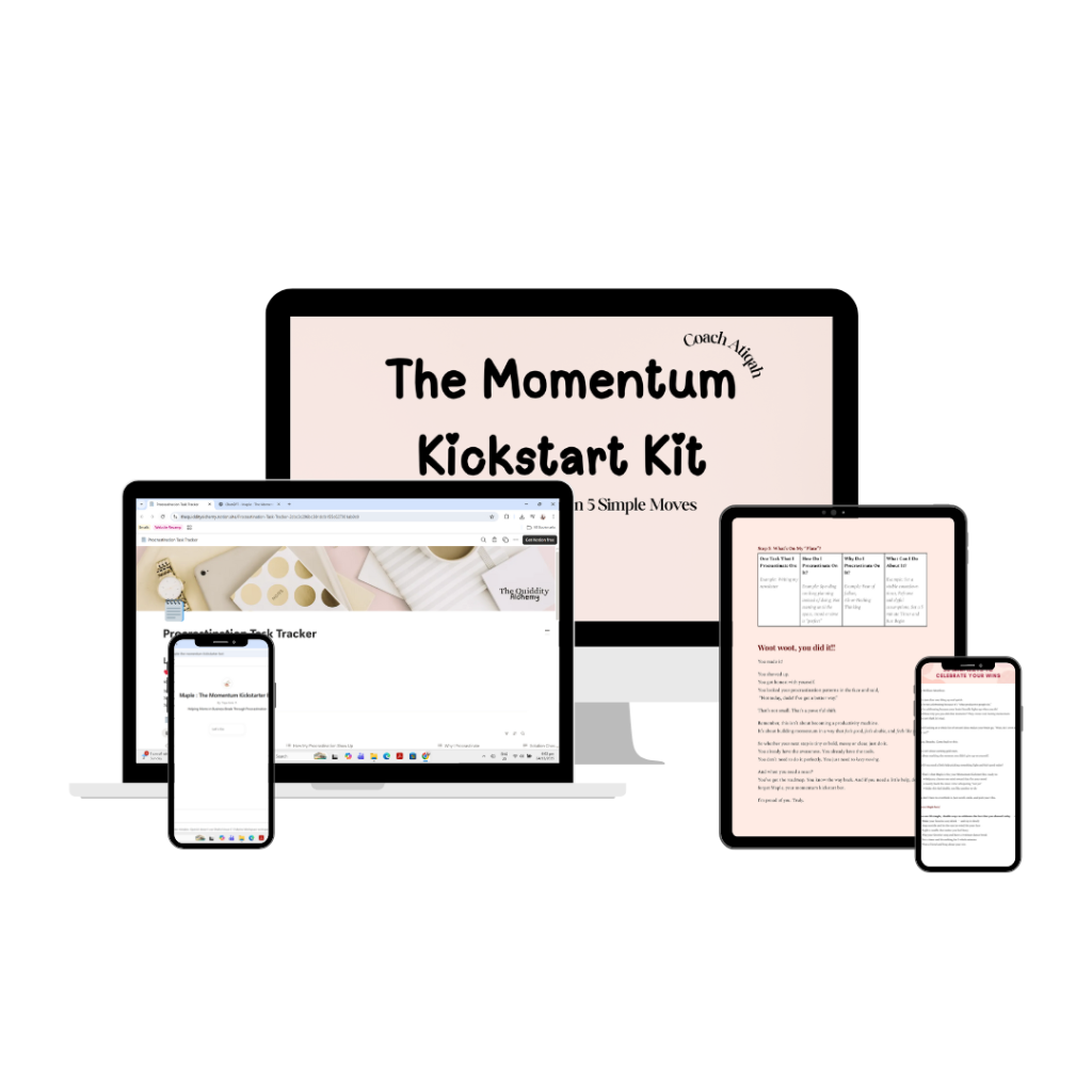 The Momentum Kickstart Kit - The Quiddity Alchemy